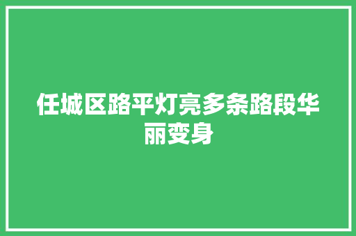 任城区路平灯亮多条路段华丽变身