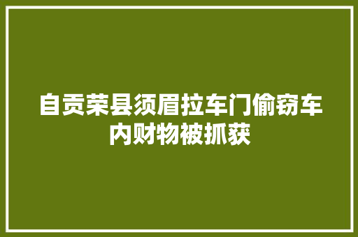自贡荣县须眉拉车门偷窃车内财物被抓获