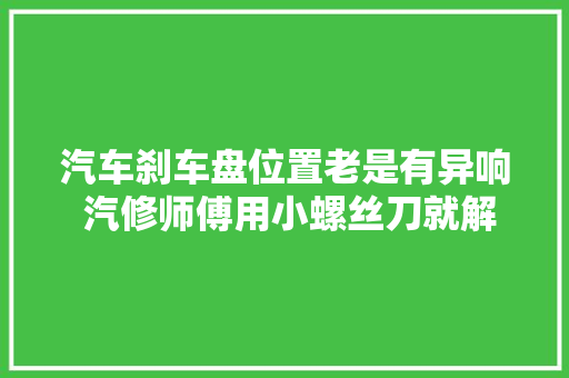 汽车刹车盘位置老是有异响 汽修师傅用小螺丝刀就解决了异响