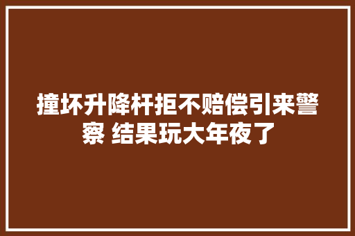 撞坏升降杆拒不赔偿引来警察 结果玩大年夜了