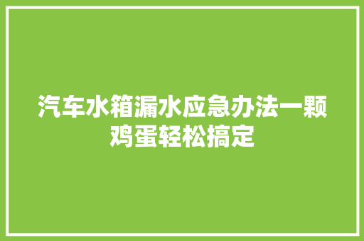 汽车水箱漏水应急办法一颗鸡蛋轻松搞定