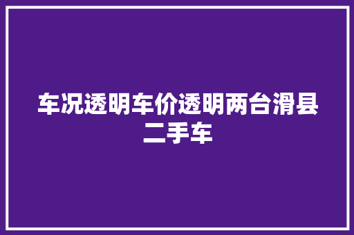 车况透明车价透明两台滑县二手车