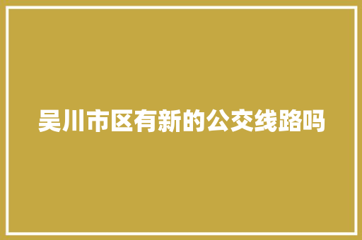 吴川市区有新的公交线路吗