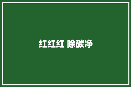 红红红 除碳净