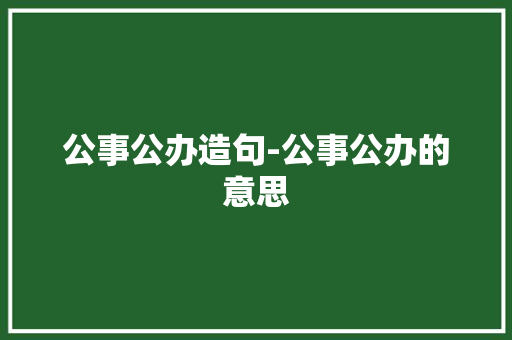 公事公办造句-公事公办的意思