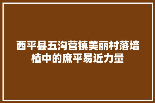 西平县五沟营镇美丽村落培植中的庶平易近力量