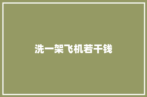 洗一架飞机若干钱