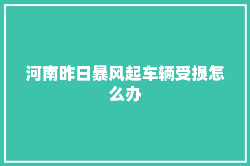 河南昨日暴风起车辆受损怎么办