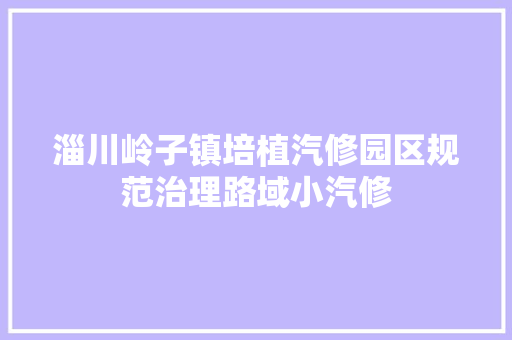 淄川岭子镇培植汽修园区规范治理路域小汽修