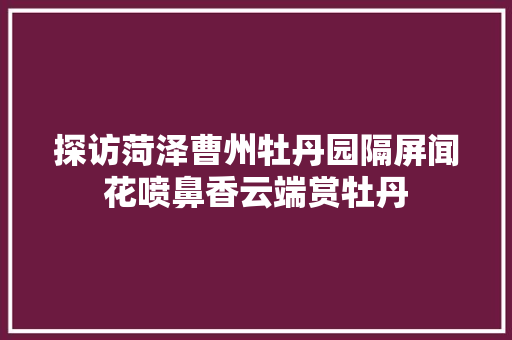 探访菏泽曹州牡丹园隔屏闻花喷鼻香云端赏牡丹