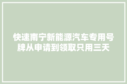 快速南宁新能源汽车专用号牌从申请到领取只用三天