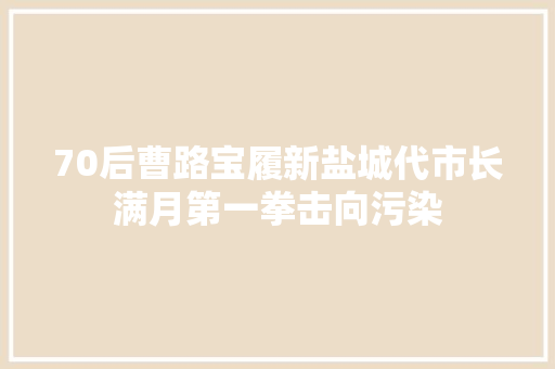 70后曹路宝履新盐城代市长满月第一拳击向污染