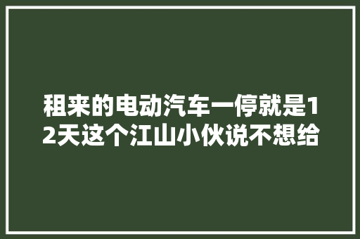 租来的电动汽车一停就是12天这个江山小伙说不想给大年夜家添乱
