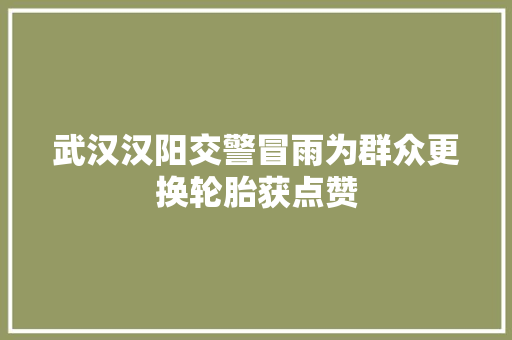 武汉汉阳交警冒雨为群众更换轮胎获点赞
