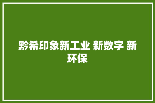 黔希印象新工业 新数字 新环保