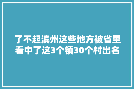 了不起滨州这些地方被省里看中了这3个镇30个村出名了