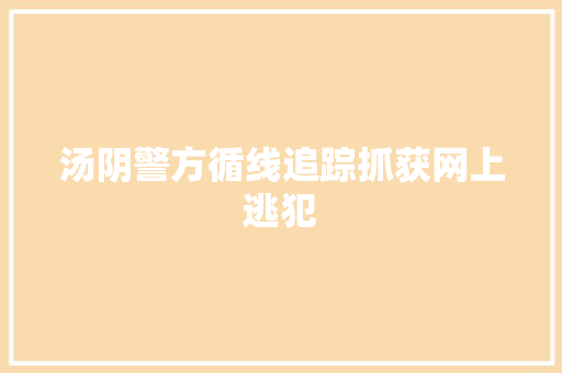 汤阴警方循线追踪抓获网上逃犯