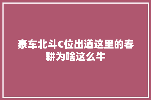 豪车北斗C位出道这里的春耕为啥这么牛