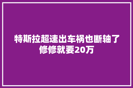 特斯拉超速出车祸也断轴了修修就要20万