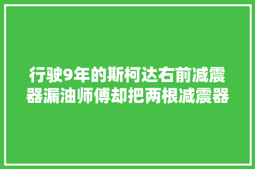 行驶9年的斯柯达右前减震器漏油师傅却把两根减震器都换了