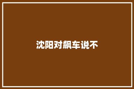 沈阳对飙车说不