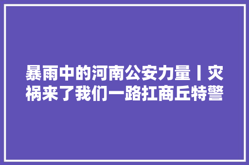 暴雨中的河南公安力量丨灾祸来了我们一路扛商丘特警联袂爱心人士向巩义灾区捐助急需救援物资侧记