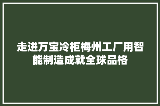 走进万宝冷柜梅州工厂用智能制造成就全球品格