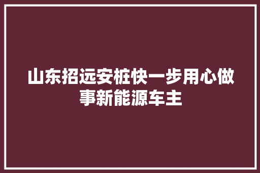 山东招远安桩快一步用心做事新能源车主