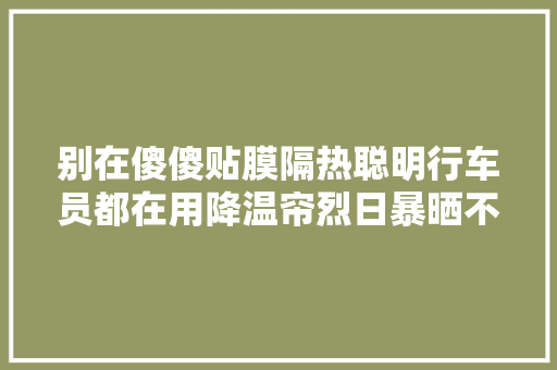 别在傻傻贴膜隔热聪明行车员都在用降温帘烈日暴晒不再怕