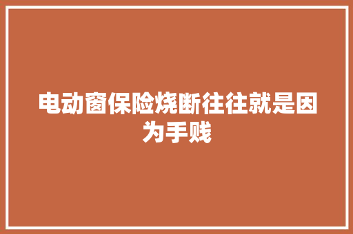 电动窗保险烧断往往就是因为手贱