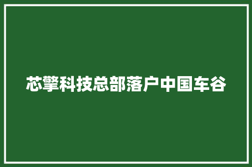 芯擎科技总部落户中国车谷