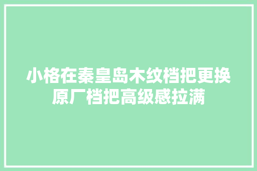 小格在秦皇岛木纹档把更换原厂档把高级感拉满