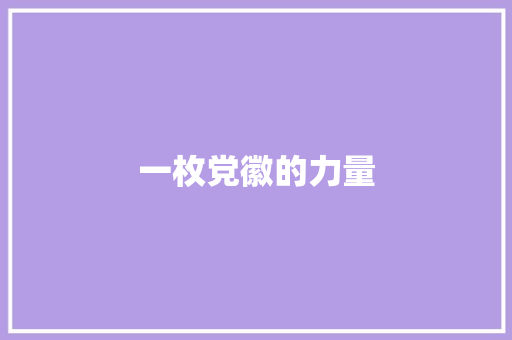 一枚党徽的力量