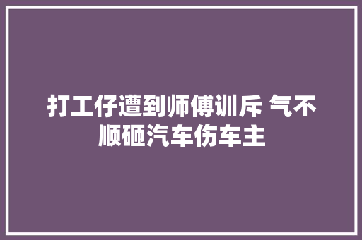 打工仔遭到师傅训斥 气不顺砸汽车伤车主