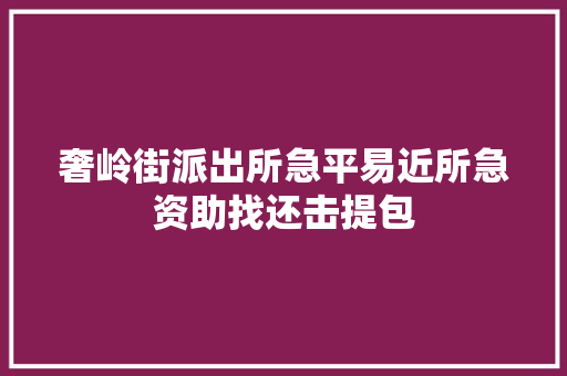 奢岭街派出所急平易近所急资助找还击提包