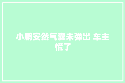 小鹏安然气囊未弹出 车主慌了