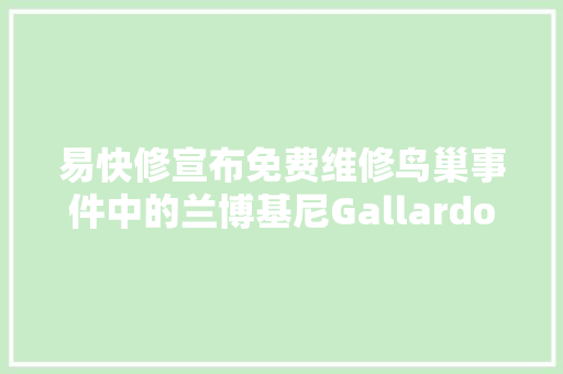 易快修宣布免费维修鸟巢事件中的兰博基尼Gallardo
