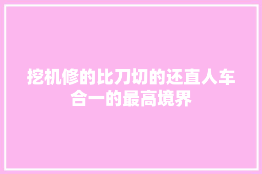 挖机修的比刀切的还直人车合一的最高境界
