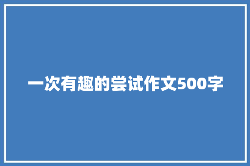 一次有趣的尝试作文500字