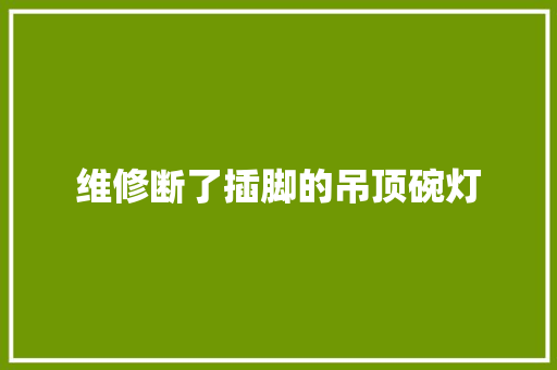 维修断了插脚的吊顶碗灯