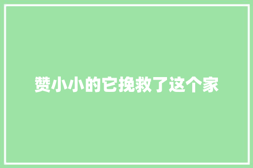 赞小小的它挽救了这个家