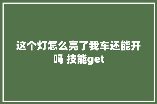 这个灯怎么亮了我车还能开吗 技能get