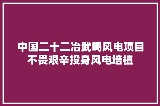 中国二十二冶武鸣风电项目不畏艰辛投身风电培植