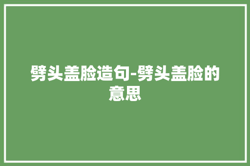 劈头盖脸造句-劈头盖脸的意思