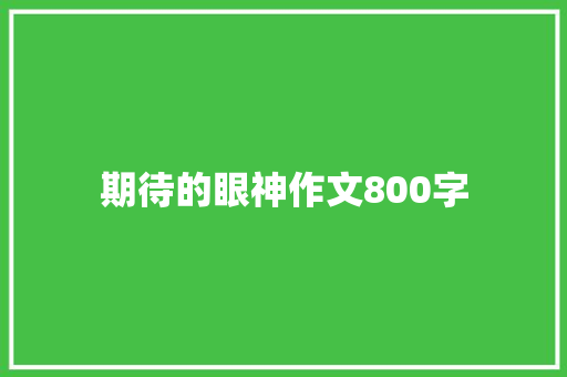 期待的眼神作文800字