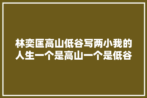 林奕匡高山低谷写两小我的人生一个是高山一个是低谷