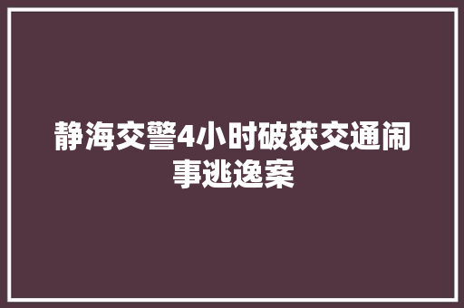 静海交警4小时破获交通闹事逃逸案