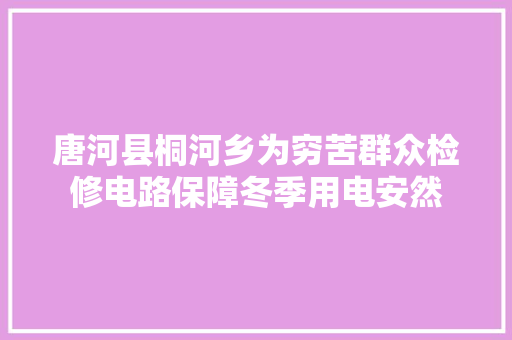 唐河县桐河乡为穷苦群众检修电路保障冬季用电安然