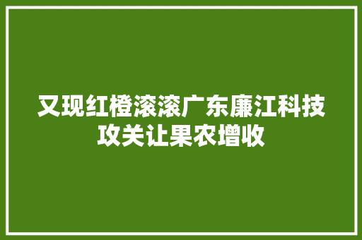 又现红橙滚滚广东廉江科技攻关让果农增收