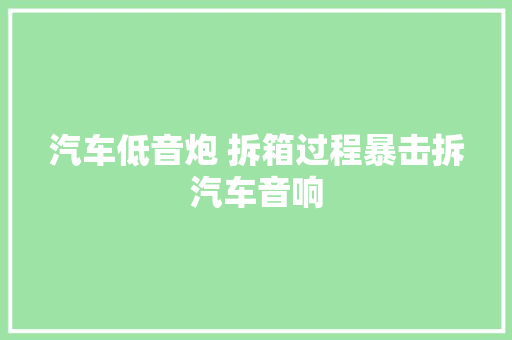 汽车低音炮 拆箱过程暴击拆汽车音响